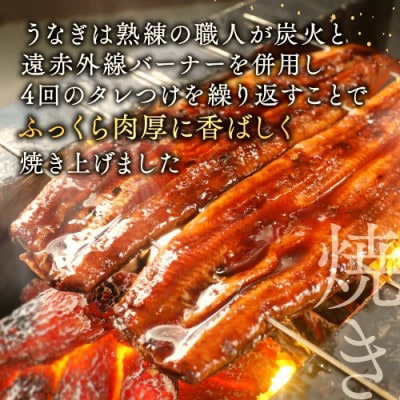 【肉厚ふっくら】国産 うなぎの蒲焼 2尾 計380g 特製たれと山椒がついた鰻蒲焼セット 化粧箱入り