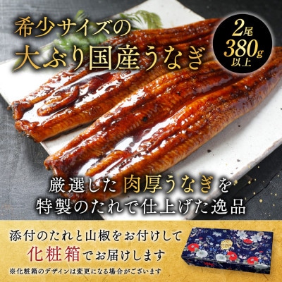 【肉厚ふっくら】国産 うなぎの蒲焼 2尾 計380g 特製たれと山椒がついた鰻蒲焼セット 化粧箱入り