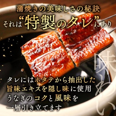 【大サイズ】国産 うなぎの蒲焼 2尾 計320g 特製たれと山椒がついた鰻蒲焼セット 化粧箱入り