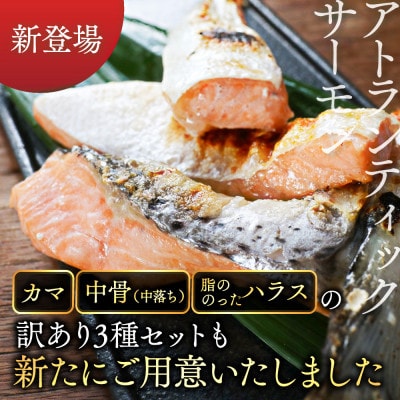 アトランティックサーモン 訳あり3種 計500g ハラス・カマ・中骨(中落ち)