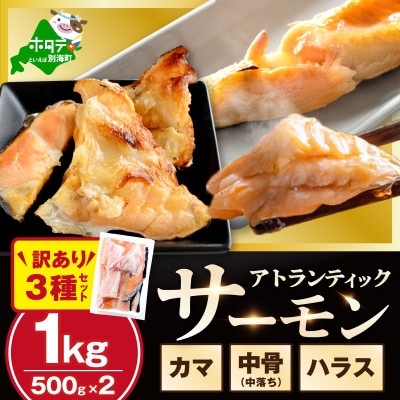 アトランティックサーモン 訳あり3種 計1kg(500g×2) ハラス・カマ・中骨(中落ち)