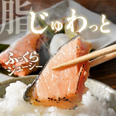 塩銀鮭 切り身 1.5kg 15切れ前後 ほどよい塩加減の切身 訳あり 別海町ふるさと納税
