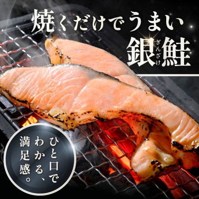 塩銀鮭 切り身 1.5kg 15切れ前後 ほどよい塩加減の切身 訳あり 別海町ふるさと納税