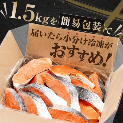 塩銀鮭 切り身 1.5kg 15切れ前後 ほどよい塩加減の切身 訳あり 別海町ふるさと納税