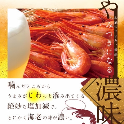 天然 北海シマエビ500gセット 大サイズ(25～30尾) 北海道野付産