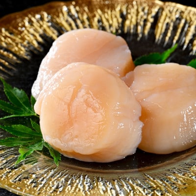 個包装 ホタテ貝柱500g ジャンボ 6～8玉 贈答にもおススメな北海道産野付産帆立