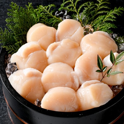 個包装 ホタテ貝柱500g 大玉(L)10～13玉前後 贈答にもおススメな北海道産野付産帆立