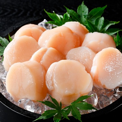 個包装 ホタテ貝柱500g 特に大玉(2L)8～10玉前後 贈答にもおススメな北海道産野付産帆立