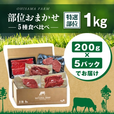 北海道別海町産 グラスフェッドビーフ 1kg /特選詰め合わせ 200g×5袋【5種】