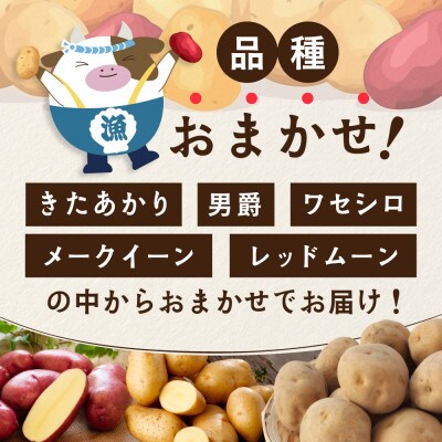じゃがいも VESPDPT N°8 新じゃがいも5kg 北海道 訳あり おまかせ1種 きたあかり 男爵