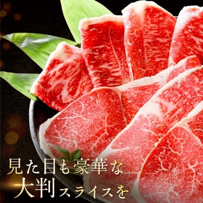 北海道産 牛肉 訳あり 切り落とし500g 大判 スライス(250g×2 小分け)部位おまかせ