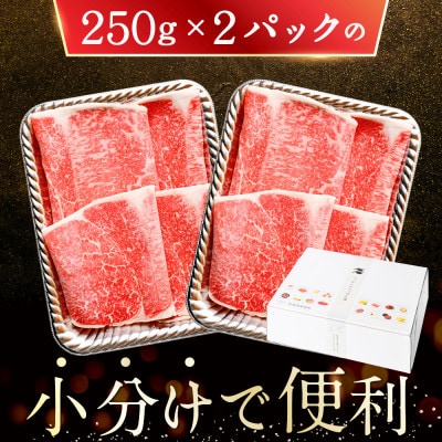 北海道産 牛肉 訳あり 切り落とし500g 大判 スライス(250g×2 小分け)部位おまかせ