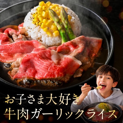 北海道産 牛肉 訳あり 切り落とし500g 大判 スライス(250g×2 小分け)部位おまかせ