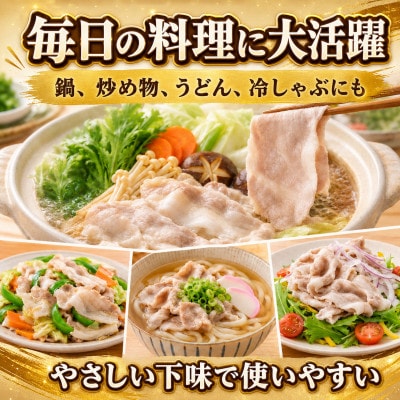 【さとふる限定】豚ロース しゃぶしゃぶ用 2.5kg(小分け250g×10パック)北海道産 冷凍豚肉