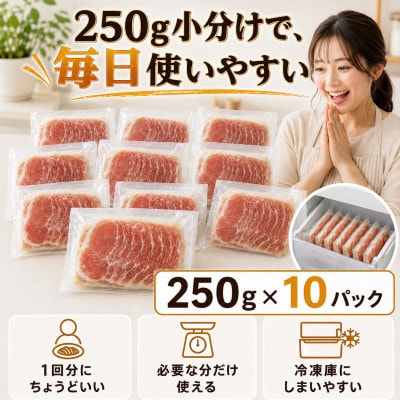 【さとふる限定】豚ロースしゃぶしゃぶ用 2.5kg(小分け250g×10)ほたて出汁味 北海道産豚肉