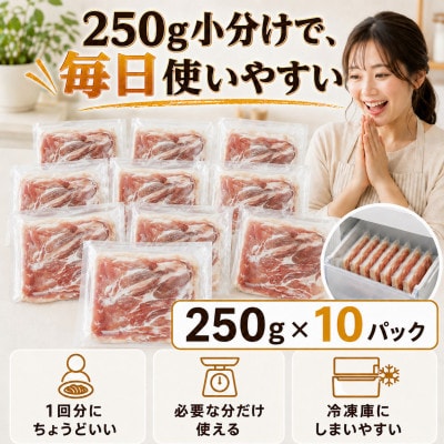 豚肩肉 しゃぶしゃぶ用 2.5kg(小分け250g×10)ほたて出汁味 北海道産豚肉