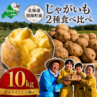 訳あり じゃがいも10kg 2種食べ比べ 北海道別海町産 きたあかり 男爵 など品種おまかせ