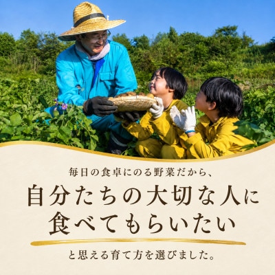 訳あり じゃがいも10kg 2種食べ比べ 北海道別海町産 きたあかり 男爵 など品種おまかせ