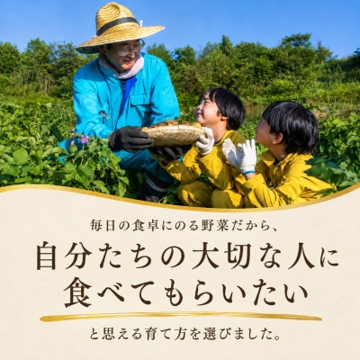 訳あり じゃがいも8kg 2種食べ比べ 北海道別海町産 きたあかり 男爵 など品種おまかせ