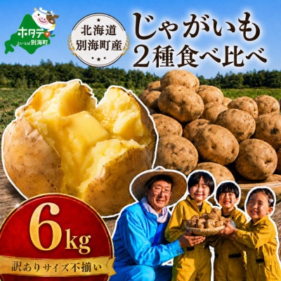 訳あり じゃがいも6kg 2種食べ比べ 北海道別海町産 きたあかり 男爵 など品種おまかせ