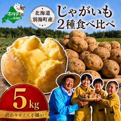 訳あり じゃがいも5kg  2種食べ比べ 北海道別海町産 きたあかり 男爵 など品種おまかせ