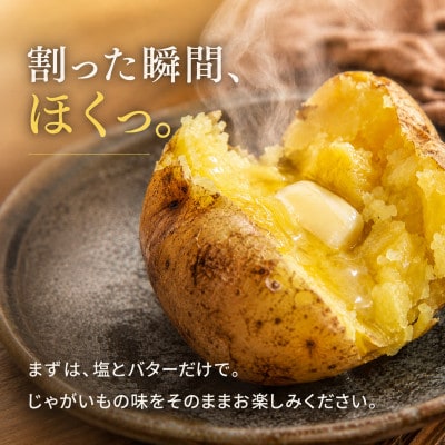 訳あり じゃがいも5kg  2種食べ比べ 北海道別海町産 きたあかり 男爵 など品種おまかせ