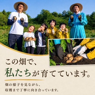 訳あり じゃがいも5kg  2種食べ比べ 北海道別海町産 きたあかり 男爵 など品種おまかせ