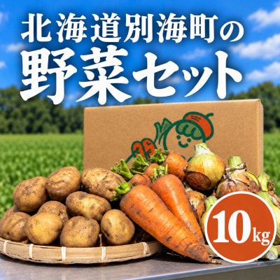 訳あり 野菜詰め合わせセット 約10kg 北海道別海町産 毎日使える
