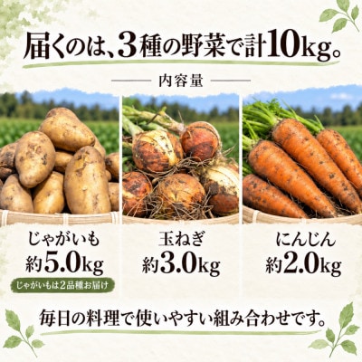訳あり 野菜詰め合わせセット 約10kg 北海道別海町産 毎日使える じゃがいも玉ねぎにんじんセット