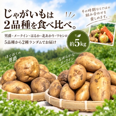 訳あり 野菜詰め合わせセット 約10kg 北海道別海町産 毎日使える じゃがいも玉ねぎにんじんセット