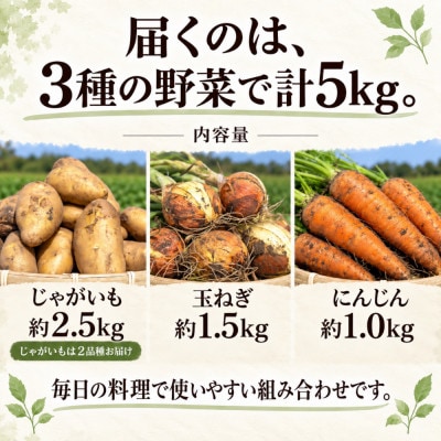 訳あり 野菜詰め合わせセット 約5kg 北海道別海町産  毎日使える じゃがいも玉ねぎにんじんセット