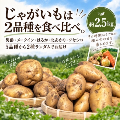 訳あり 野菜詰め合わせセット 約5kg 北海道別海町産  毎日使える じゃがいも玉ねぎにんじんセット