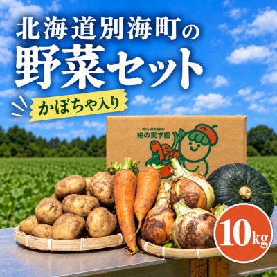 訳あり 野菜詰め合わせセット約10kg 北海道別海町産 じゃがいも玉ねぎにんじんかぼちゃ