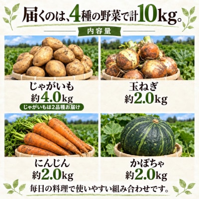 訳あり 野菜詰め合わせセット約10kg 北海道別海町産 じゃがいも玉ねぎにんじんかぼちゃ
