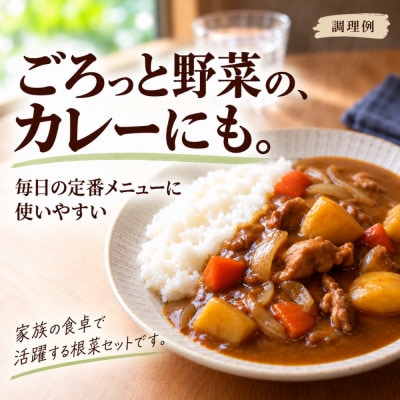 訳あり 野菜詰め合わせセット約10kg 北海道別海町産 じゃがいも玉ねぎにんじんかぼちゃ