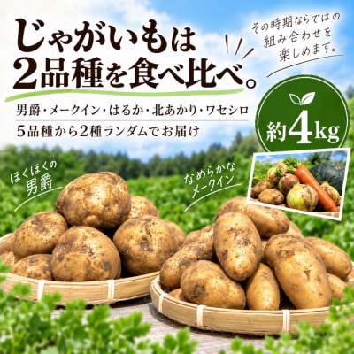 訳あり 野菜詰め合わせセット約10kg 北海道別海町産 じゃがいも玉ねぎにんじんかぼちゃ
