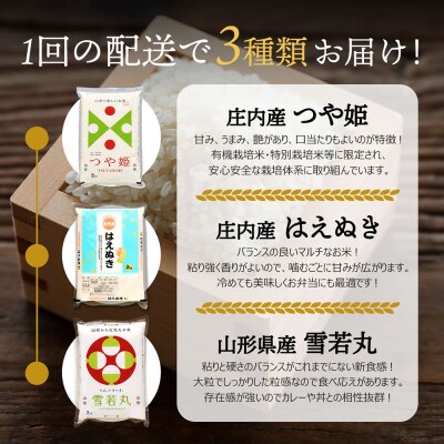山形のブランド米!食べ比べ 6kgセット 2kg×3袋 つや姫 はえぬき 雪若丸 令和7年産