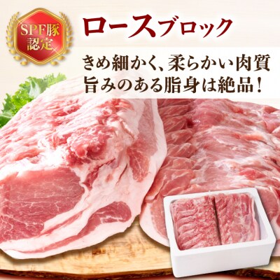 山形県庄内SPF豚 最上川ポーク ロースブロック 4kg(2kg×2)国産 豚肉 冷蔵便