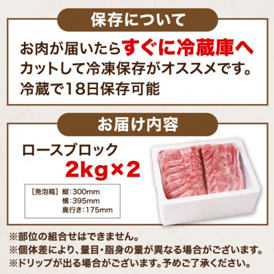 山形県庄内SPF豚 最上川ポーク ロースブロック 4kg(2kg×2)国産 豚肉 冷蔵便