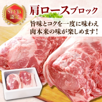 山形県庄内SPF豚 最上川ポーク 肩ロースブロック 4kg(2kg×2) 国産 豚肉 冷蔵便