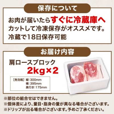 山形県庄内SPF豚 最上川ポーク 肩ロースブロック 4kg(2kg×2) 国産 豚肉 冷蔵便