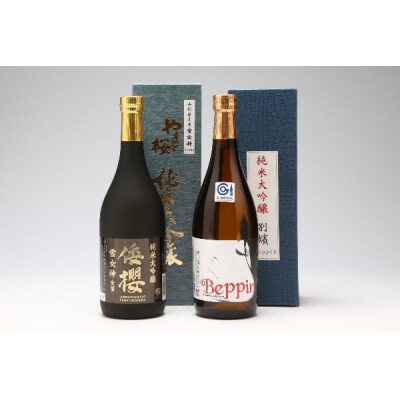 純米大吟醸「雪女神」セット 720ml×2本 日本酒 飲み比べ