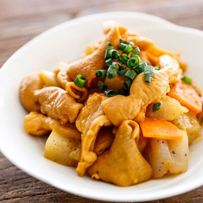 庄内豚ホルモンセット(ビッグ) ブランド肉 庄内三元豚 白モツ レバーハツ モツカレー煮込み