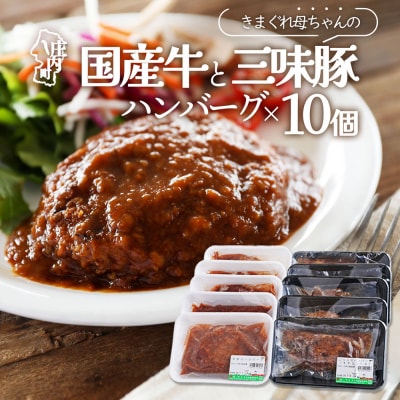 きまぐれ母ちゃんの国産牛と三味豚ハンバーグ 10個 2種類 手作り ブランド豚 国産 お惣菜 おかず