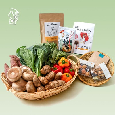 【9/30受付終了】産直直送!庄内町季節の野菜と加工品セット 加工品 野菜 旬 セット 