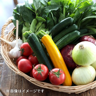 産直直送!庄内町季節の野菜と加工品セット 加工品 野菜 旬 セット 