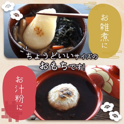 梅木もち屋 庄内産でわのもちを使用した杵つき餅 380g×3袋 個包装 丸もち