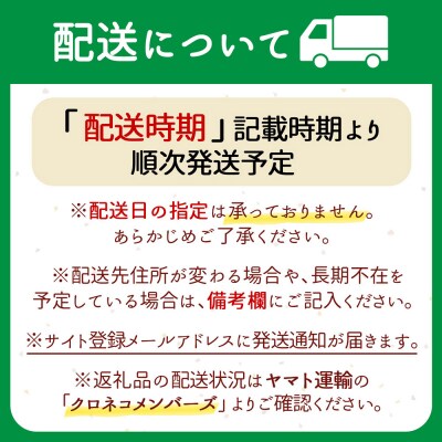 【定期便】<令和8年産>はえぬき 無洗米 5kg×2袋×6ヶ月 毎月 10kg【12月中旬発送】