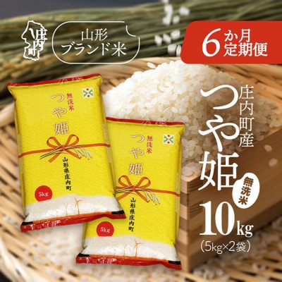 <10月下旬発送>庄内米6か月定期便!つや姫無洗米 10kg(入金期限:2025.9.25)