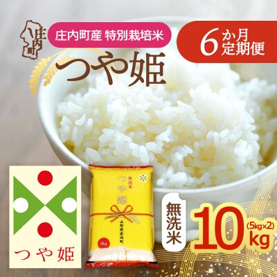 【定期便】<令和8年産>つや姫 無洗米 5kg×2袋×6ヶ月 毎月 10kg【10月下旬発送】